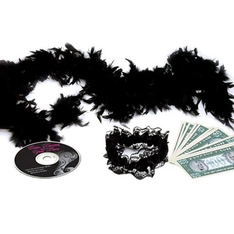 Танцевальный шест серебристого цвета Private Dancer Pole Kit