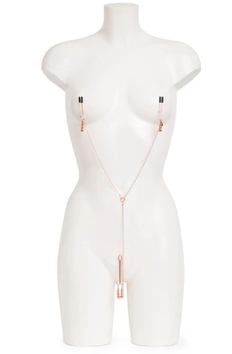 Золотистые зажимы для сосков и клитора All Sensation Nipple and Clitoral Chain