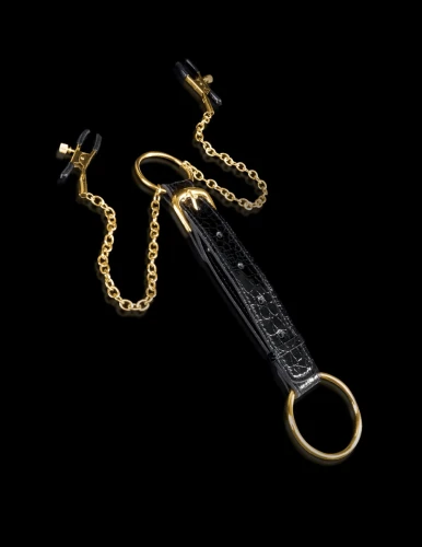 Кольцо на пенис Cockring & Nipple Clamps с зажимами на соски
