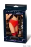 Пояс для чулок в ретро-стиле Grand Retro Pin-Up