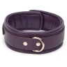 Ошейник с поводком Cherished Collection Leather Collar and Lead